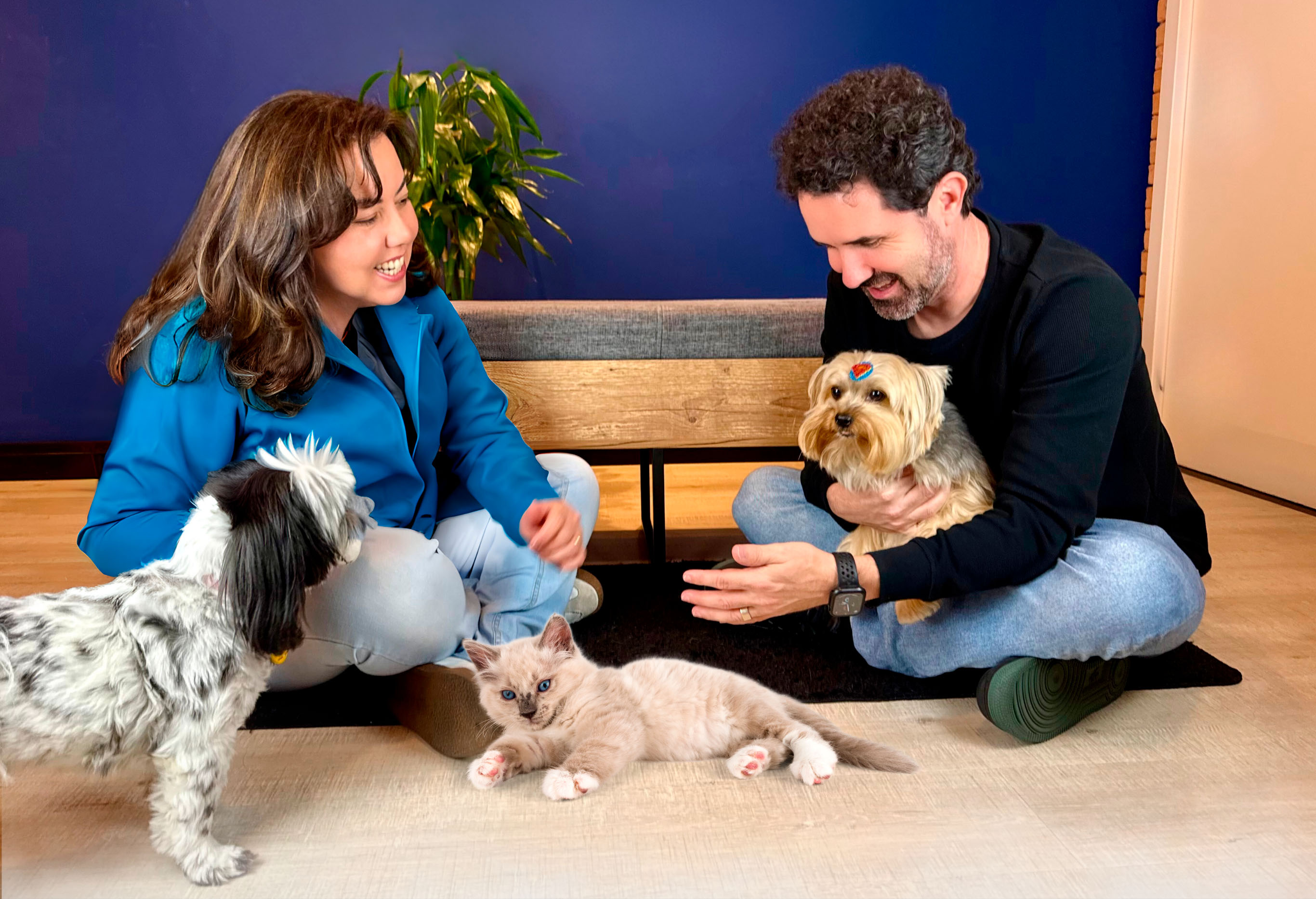 Dra. Ivia Talieri atendendo dois cães e um gato em domicílio